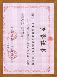 廣東省自主創新示范企業